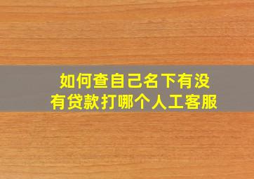 如何查自己名下有没有贷款打哪个人工客服