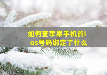 如何查苹果手机的ios号码绑定了什么