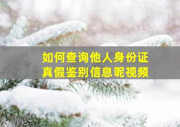 如何查询他人身份证真假鉴别信息呢视频