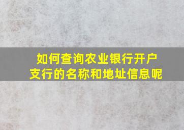 如何查询农业银行开户支行的名称和地址信息呢