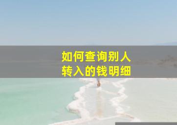 如何查询别人转入的钱明细