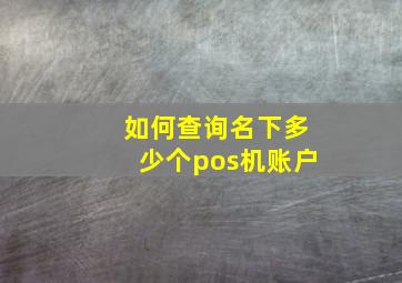 如何查询名下多少个pos机账户