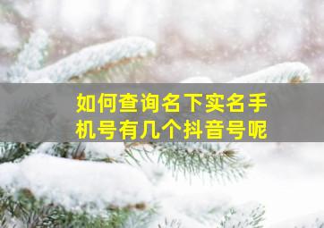 如何查询名下实名手机号有几个抖音号呢