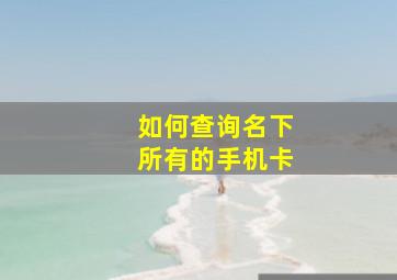 如何查询名下所有的手机卡