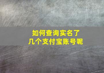 如何查询实名了几个支付宝账号呢