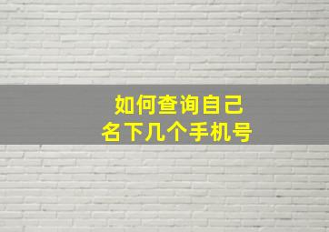 如何查询自己名下几个手机号