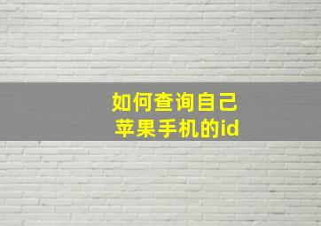 如何查询自己苹果手机的id