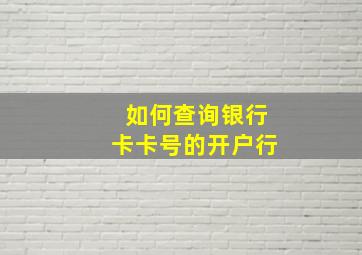 如何查询银行卡卡号的开户行