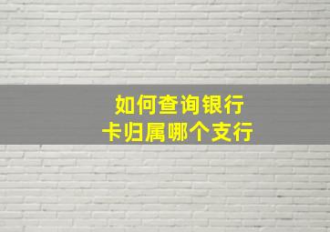 如何查询银行卡归属哪个支行