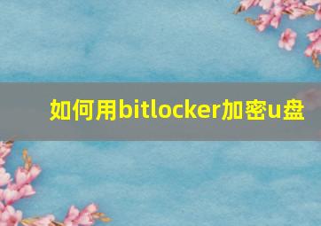 如何用bitlocker加密u盘