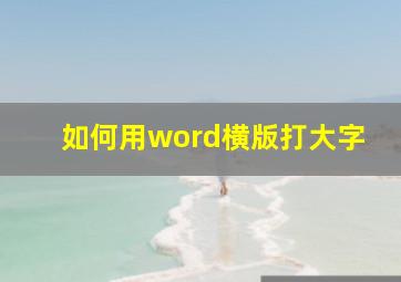 如何用word横版打大字