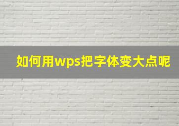 如何用wps把字体变大点呢