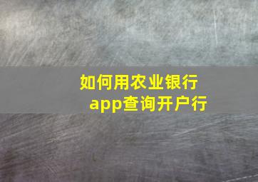 如何用农业银行app查询开户行