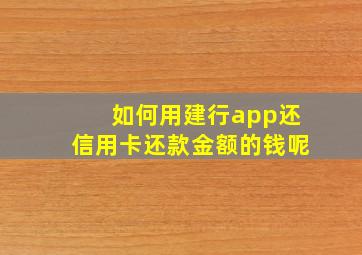 如何用建行app还信用卡还款金额的钱呢