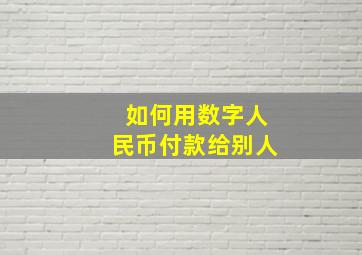 如何用数字人民币付款给别人