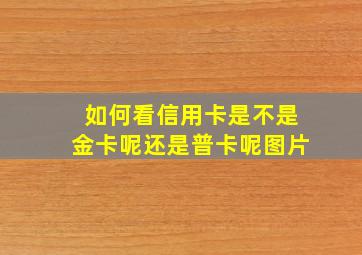 如何看信用卡是不是金卡呢还是普卡呢图片