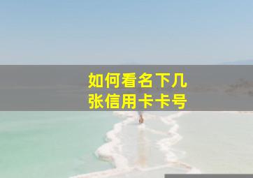 如何看名下几张信用卡卡号