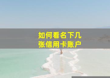 如何看名下几张信用卡账户