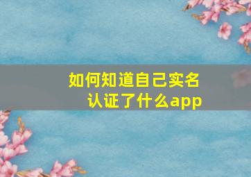 如何知道自己实名认证了什么app