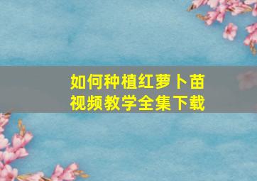 如何种植红萝卜苗视频教学全集下载