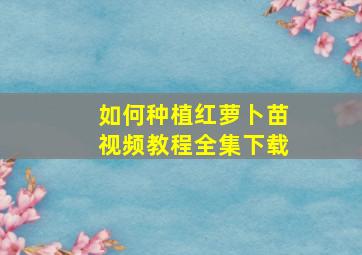 如何种植红萝卜苗视频教程全集下载