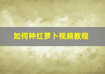 如何种红萝卜视频教程