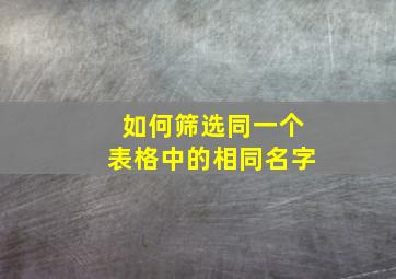 如何筛选同一个表格中的相同名字