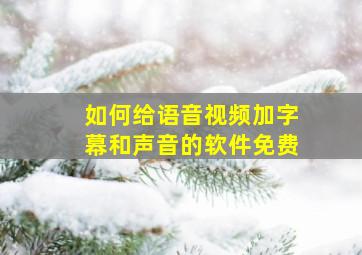 如何给语音视频加字幕和声音的软件免费