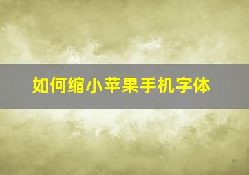 如何缩小苹果手机字体