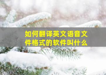 如何翻译英文语音文件格式的软件叫什么