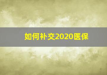 如何补交2020医保