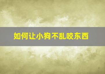 如何让小狗不乱咬东西