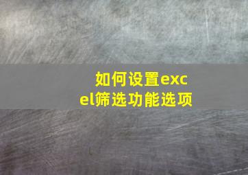 如何设置excel筛选功能选项