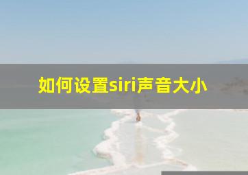 如何设置siri声音大小