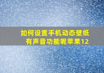 如何设置手机动态壁纸有声音功能呢苹果12