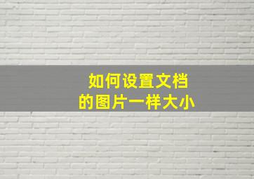 如何设置文档的图片一样大小