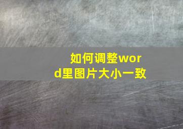 如何调整word里图片大小一致