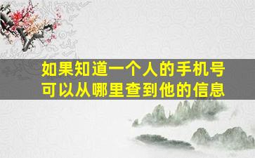 如果知道一个人的手机号可以从哪里查到他的信息