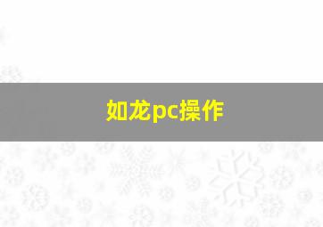 如龙pc操作