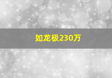 如龙极230万