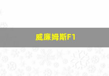 威廉姆斯F1