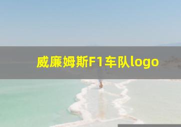 威廉姆斯F1车队logo