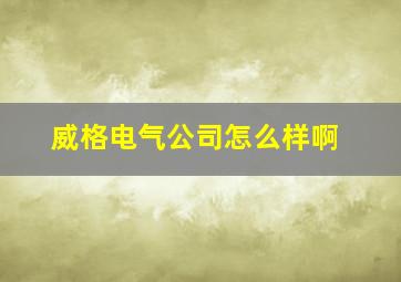 威格电气公司怎么样啊