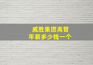 威胜集团高管年薪多少钱一个