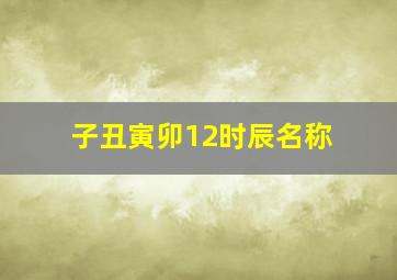 子丑寅卯12时辰名称