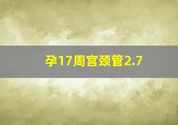 孕17周宫颈管2.7