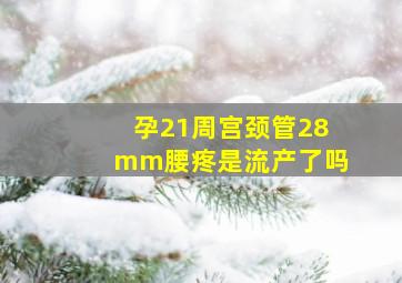 孕21周宫颈管28mm腰疼是流产了吗