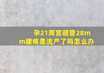 孕21周宫颈管28mm腰疼是流产了吗怎么办