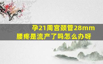 孕21周宫颈管28mm腰疼是流产了吗怎么办呀