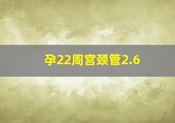 孕22周宫颈管2.6